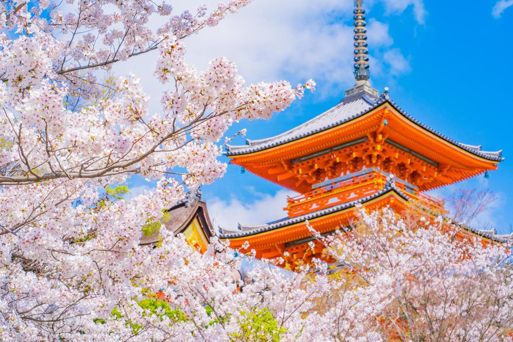 Tokyu Stay Kyoto Sakaiza Shijo Kawaramachi Luaran gambar