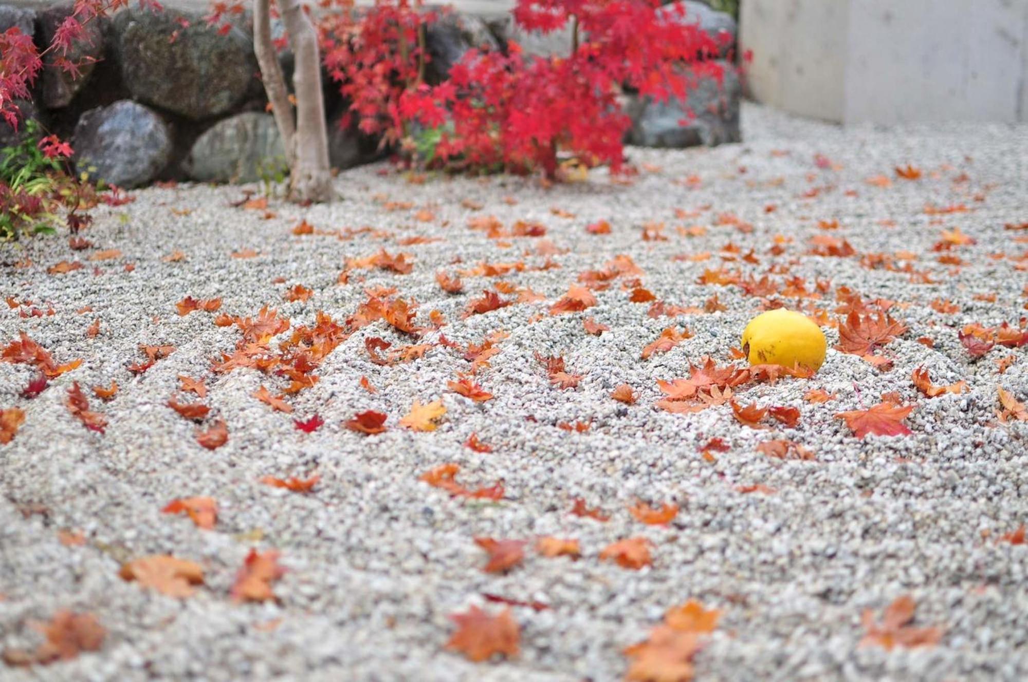 Tokyu Stay Kyoto Sakaiza Shijo Kawaramachi Luaran gambar